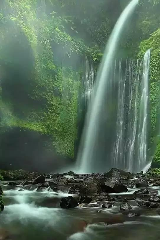 逃离天鹅森林