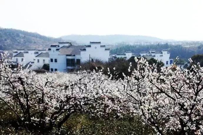 廖良辉走访慰问困难群众和困难老党员