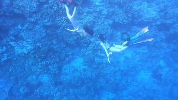 系带夏装