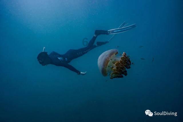 炖骨头汤一定不能直接炖，教你正确做法，骨汤香浓，营养好喝游戏画面