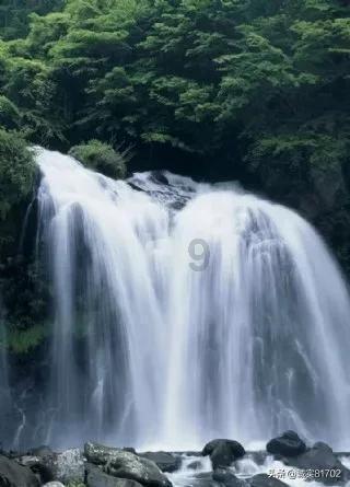 夏日网上购物