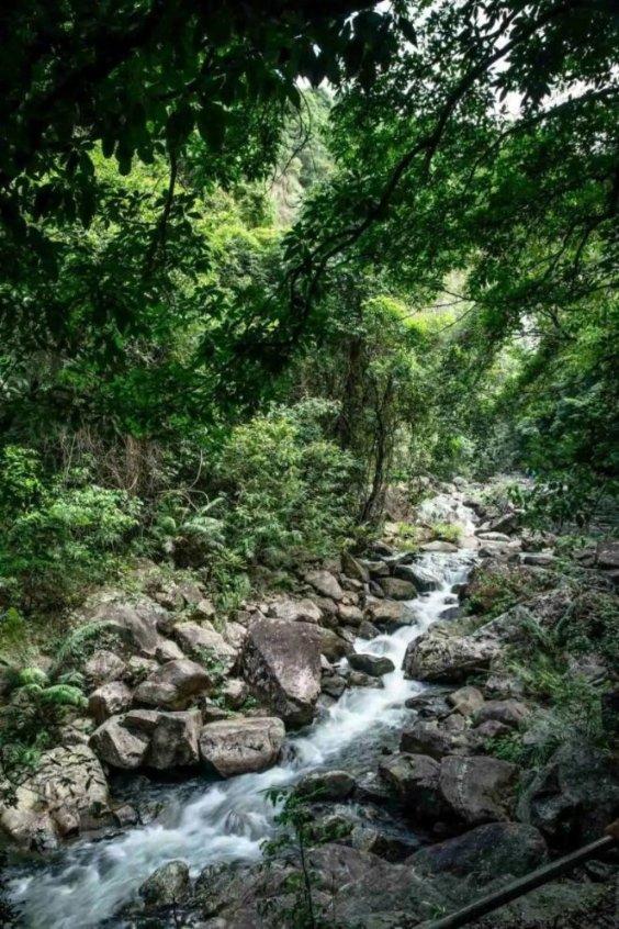 广西一天冷空气更比一天冷这次寒潮影响更大