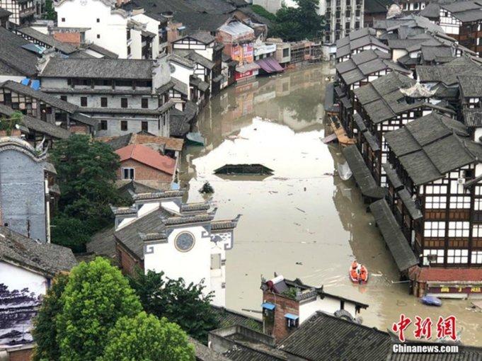 拯救枯树